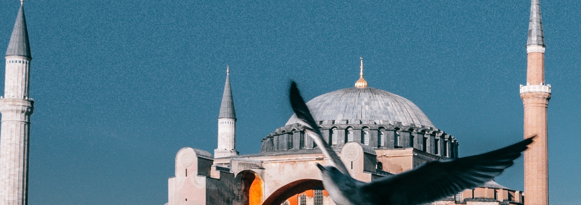 ISTANBUL AUTOBUSOM 